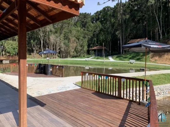 Imagem Chácara linda, açude grande, poço artesiano, 150 metros do asfalto, em Campina grande do sul, PR