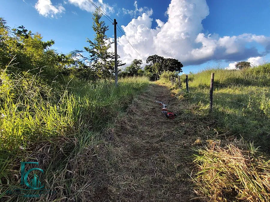 Imagem Chácara à venda em Guapó, Zona Rural, 3.000m²