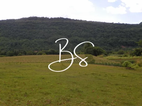 Imagem SITIO RURAL em NOVA PETRÓPOLIS - RS, Linha Temerária