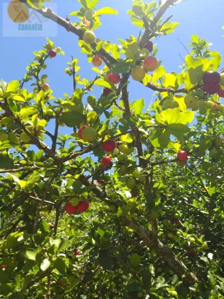 Imagem TERRENO JARDIM CANANÉIA