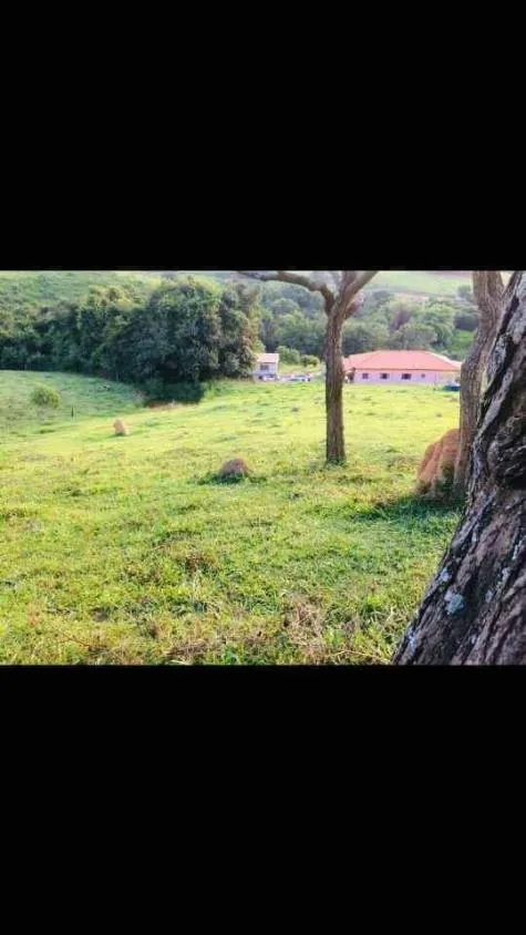 Imagem Terreno à Venda em Piedade dos Gerais / MG 15 hectares de área total