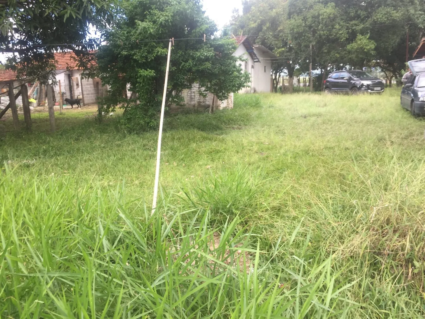 Imagem Chácara à venda 4 Quartos, 1 Suite, 4 Vagas, 3100M², Ribeirão Grande, Pindamonhangaba - SP