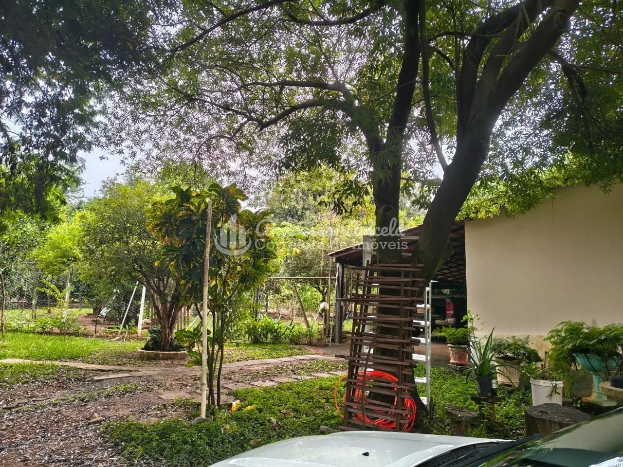 Imagem Recanto de Alá - Chácara com 5 dormitórios à venda, 5000 m² por R$ 1.600.000 - Recanto De Alá - Mirassol/SP