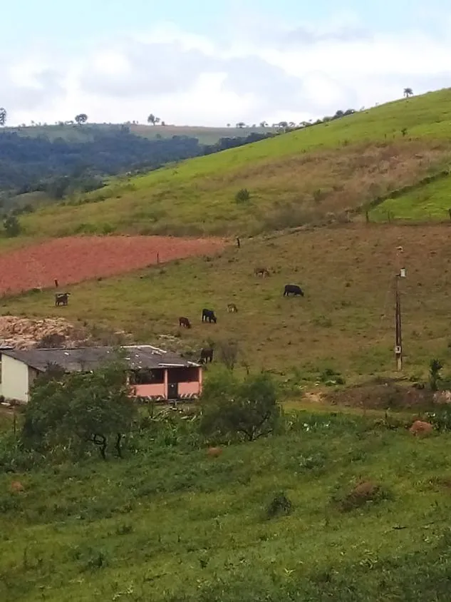Foto do imóvel Vendo Chácara em Crucilândia com 5.000 m² de area