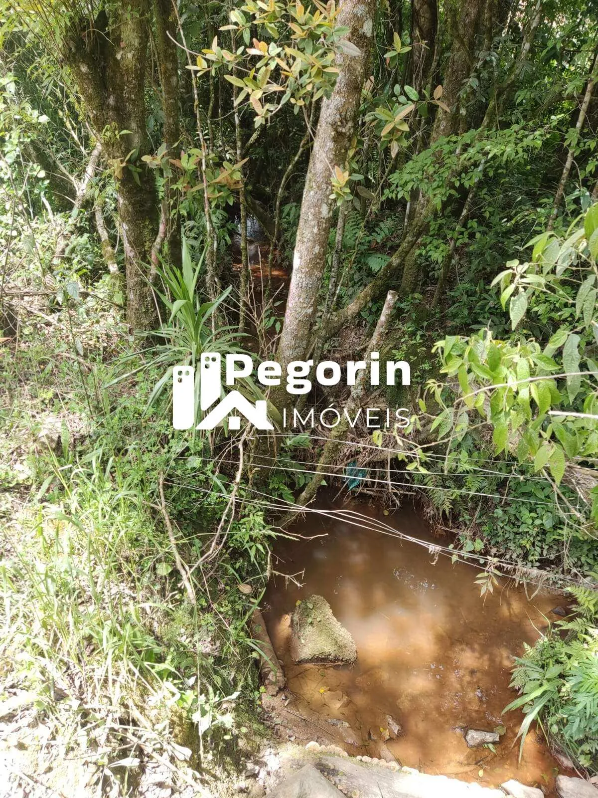 Imagem Chácara para Venda, Campo Magro / PR, bairro Hervalzinho, área total 24.397,00 m²
