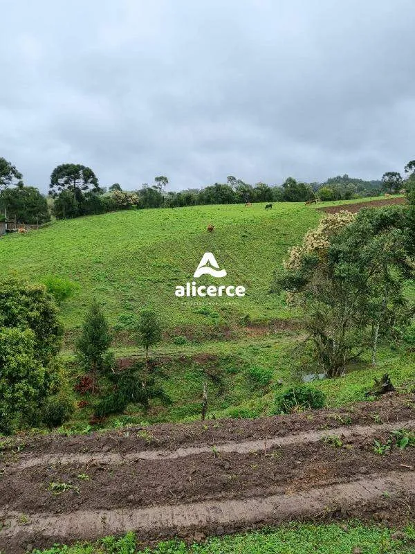 Imagem Terreno à venda com , 30.000m² em Vargedo Rancho Queimado