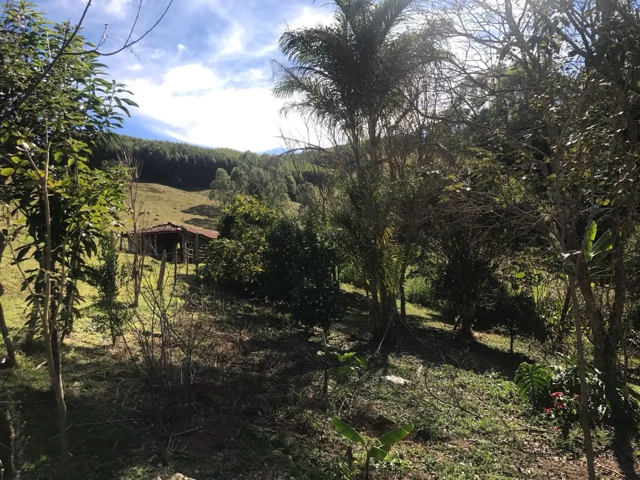 Imagem Chácara à venda 3 Quartos, 157000M², Bailaiero, Cunha - SP