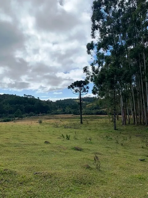 Foto do imóvel Chácara à venda 20000M², Aparição, Cunha - SP