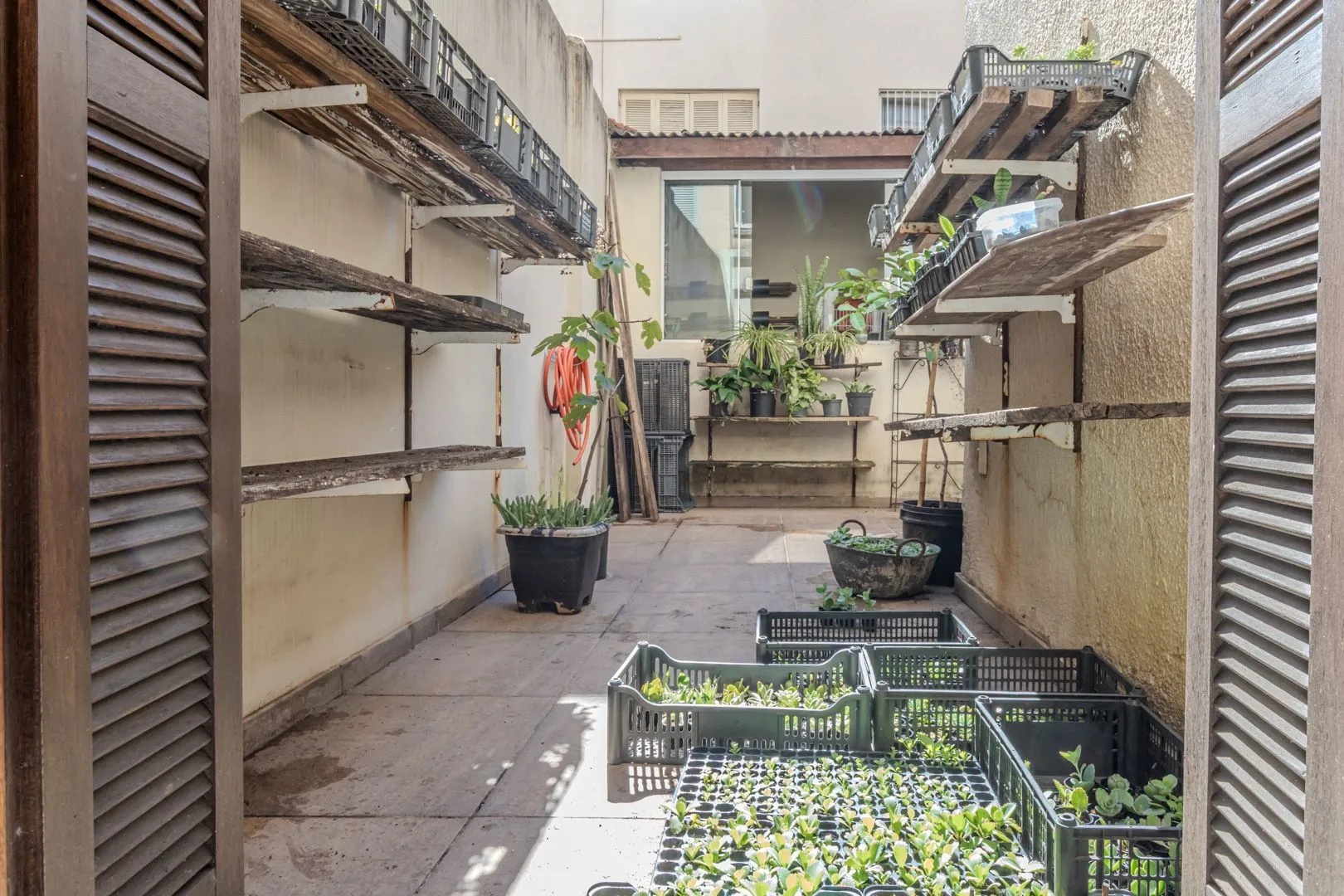 Imagem apto garden. no bairro Petrópolis, com lindo pátio privativo. todo reformado.