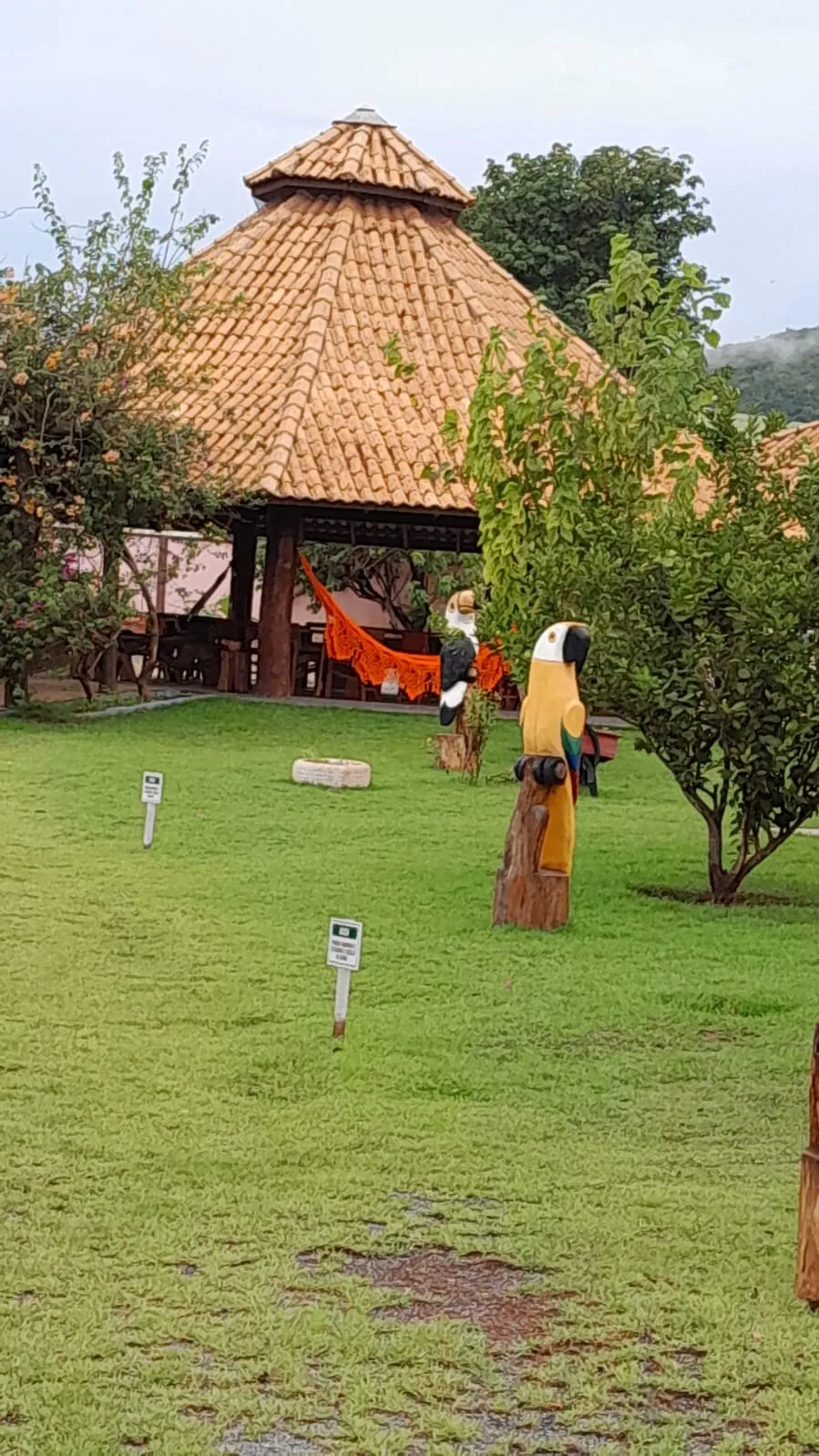Imagem Fazenda 5.6m Nobres-MT 327