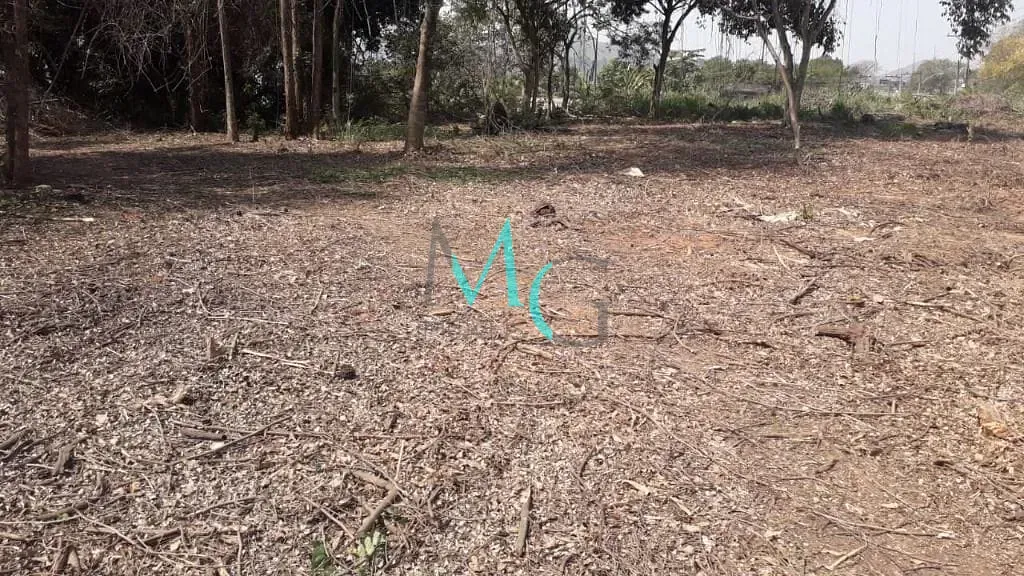 Imagem Área para alugar, 2400 m² por R$ 11.830,00/mês - Campo Grande - Rio de Janeiro/RJ