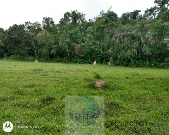 Imagem Vende de Sítio em Jacuí Sul de Minas Gerais, 9 alqueires sendo 7 alqueires para grãos.
