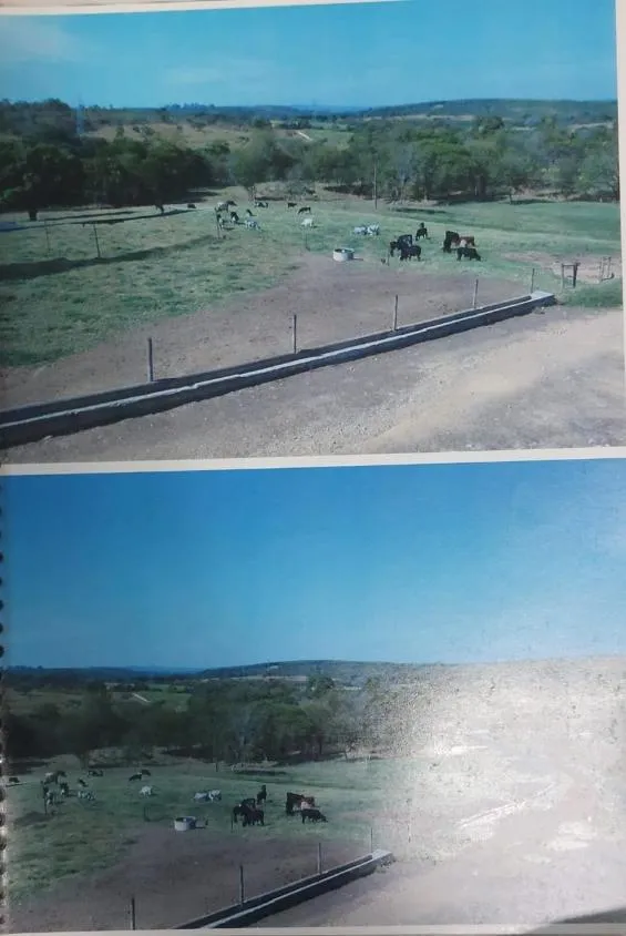 Imagem FAZENDA À VENDA - MORRO DA GARÇA (MG) 208 hectares de área total,