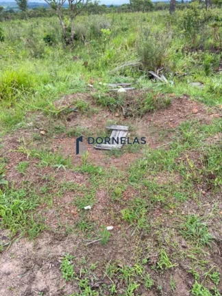 Imagem MUITO BARATO!! CHÁCARA COM 20.300M² A APENAS 3KM DA CACHOEIRA DO INDAIÁ FORMOSA GOIÁS