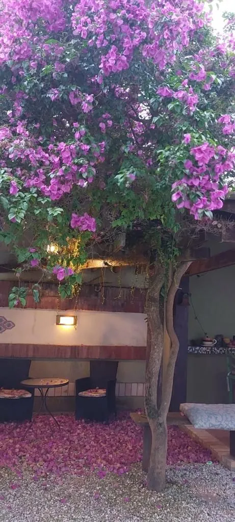 Imagem Casa na praia de Atlântida de 4 dormitórios