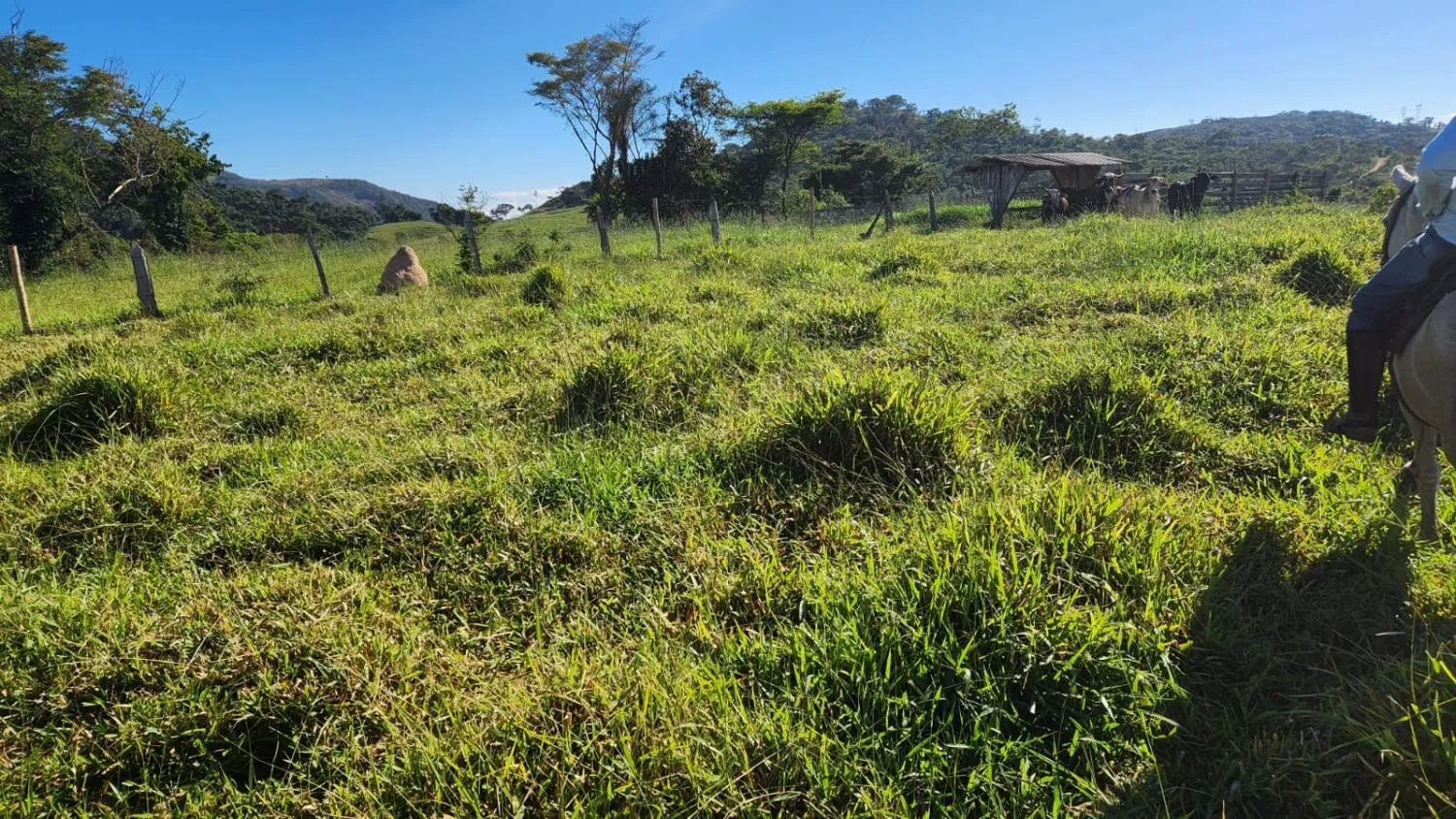 Foto do imóvel Vende-se excelente terreno em Bonfim/MG com Área total de 23 hectares, toda formada