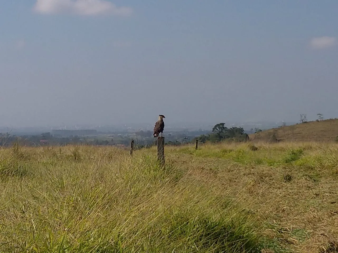 Imagem Chácara para Locação Piracuama, Pindamonhangaba - SP