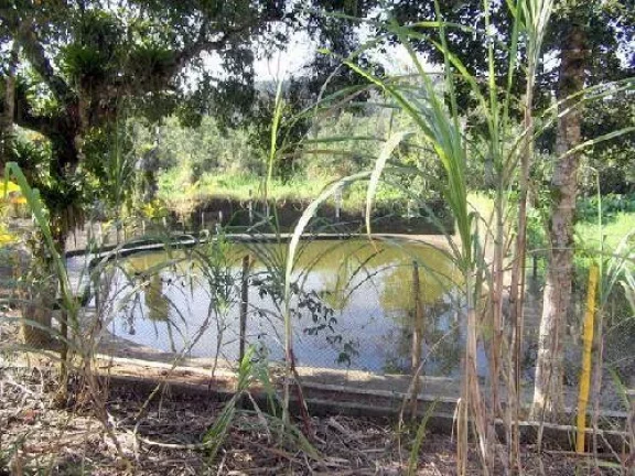 Imagem BELISSIMA CHACARA URBANA