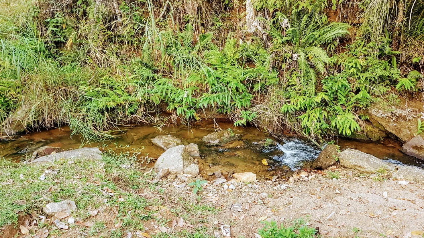 Imagem Chácara à venda 1 Quarto, 110000.25M², Água Preta, Pindamonhangaba - SP