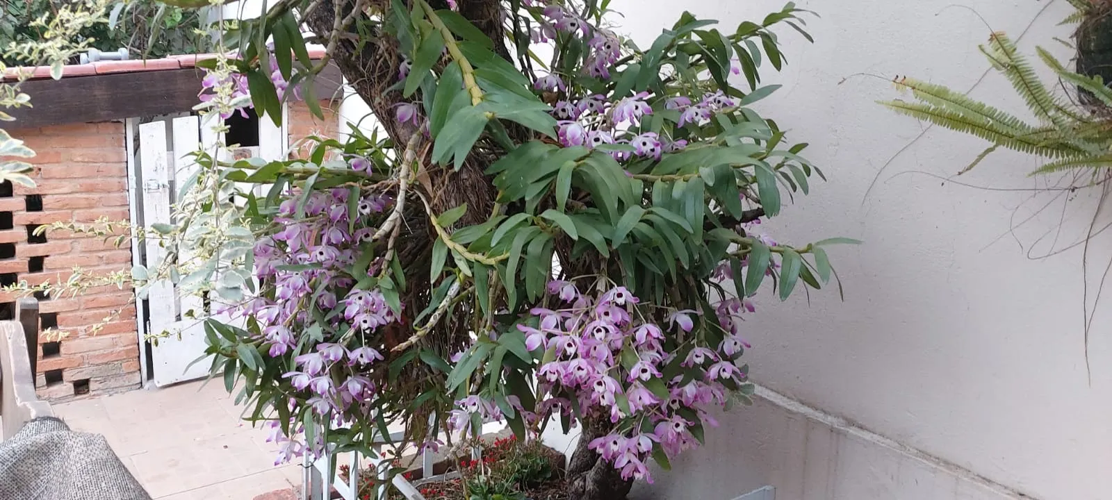 Imagem Casa à venda no Jardim Áurea em Salto de Pirapora