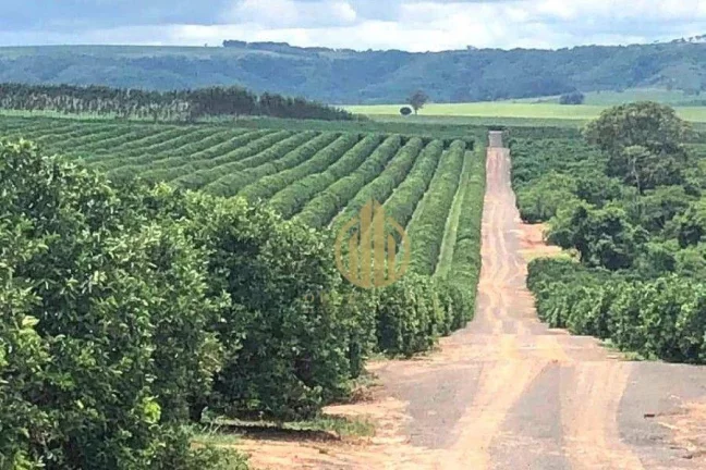 Imagem Fazenda à venda, 7986000 m² por R$ 120.000.000,00 - Centro - Botucatu/SP