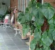 Imagem Casa à venda 3 Quartos, 1 Suite, 2 Vagas, 760M², Jardim Residencial Doutor Lessa, Pindamonhangaba - SP