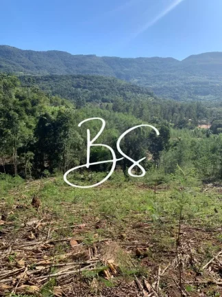Imagem SITIO RURAL em IGREJINHA - RS, Solitária Alta