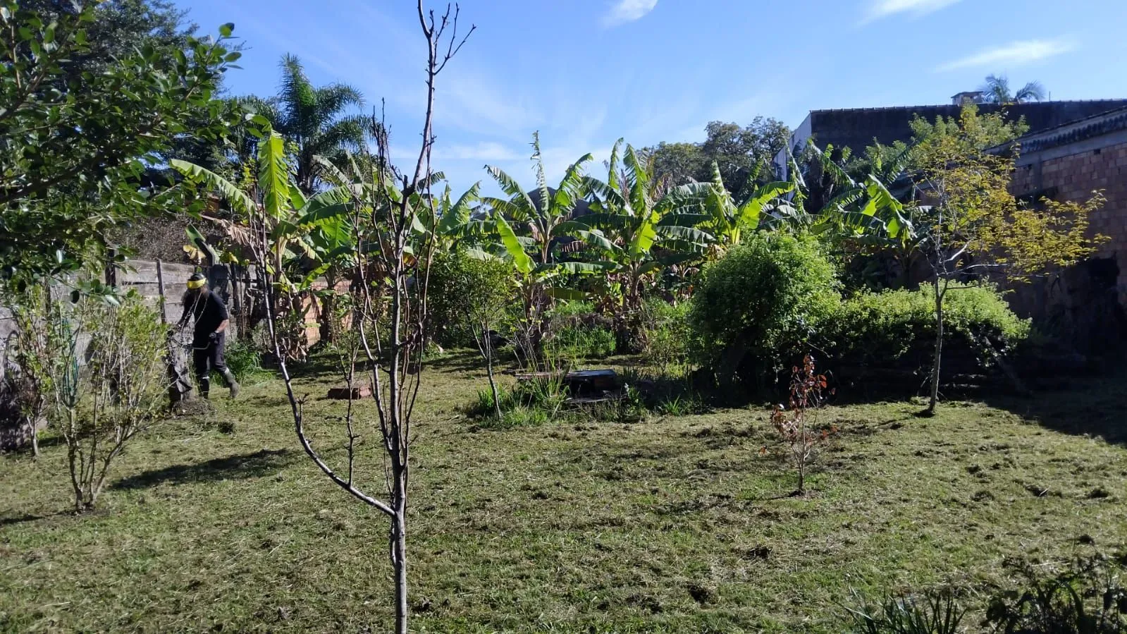 Imagem Terreno no Bairro Ponta Grossa