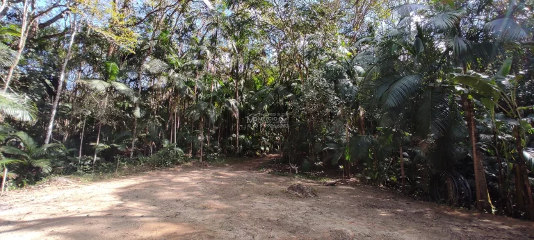 Imagem Sitio rural para Venda, bairro Alto Silva, Nova Trento 3 dormitórios, 1 sala, 2 banheiros, 1 vaga 100,00 m² construída, 34.000,00 m² terreno.