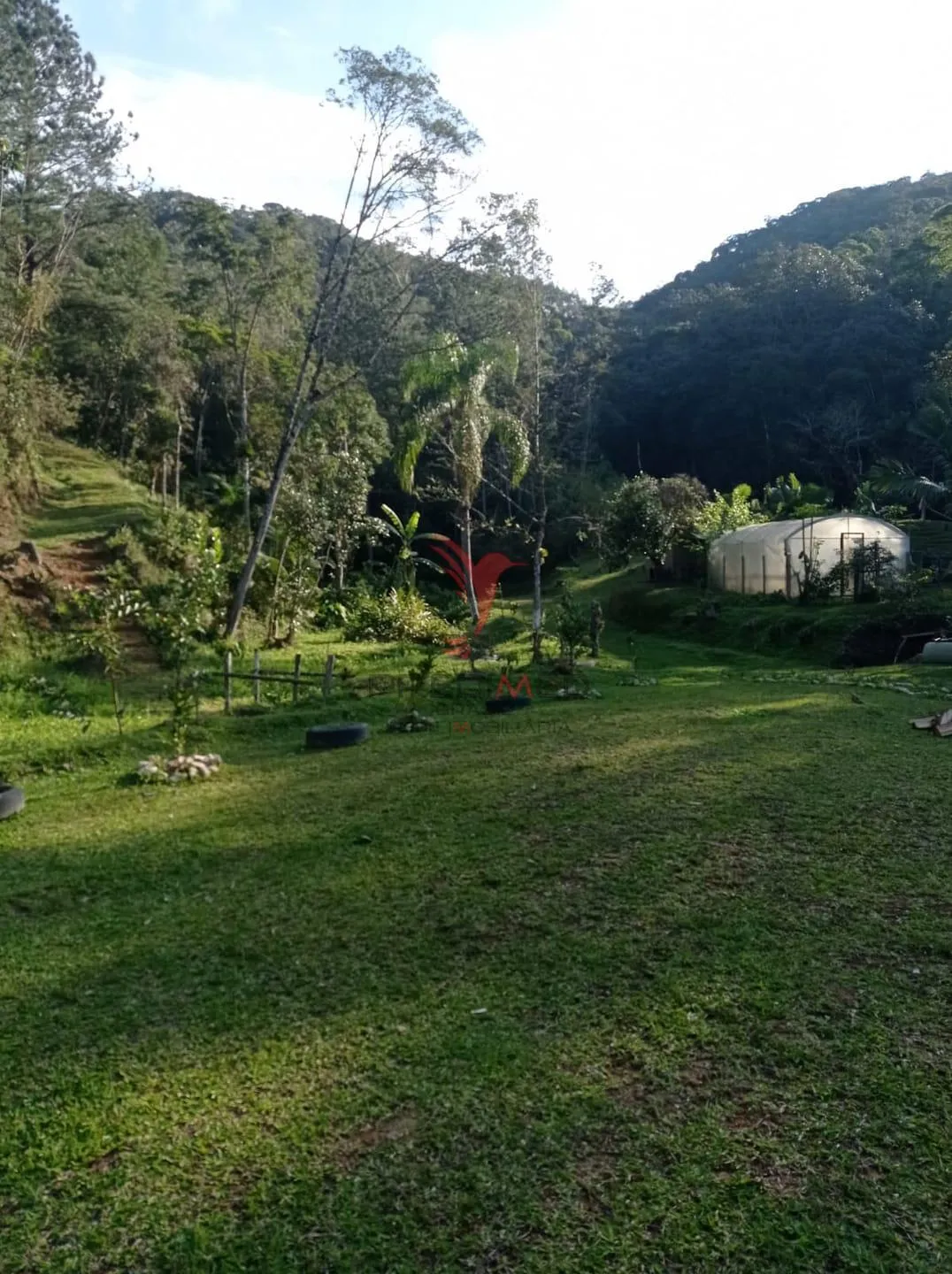 Imagem CHÁCARA A VENDA UM ÓTIMO INVESTIMENTO PARA INVESTIDORES LAJEADO ALTO, GUABIRUBA SC
