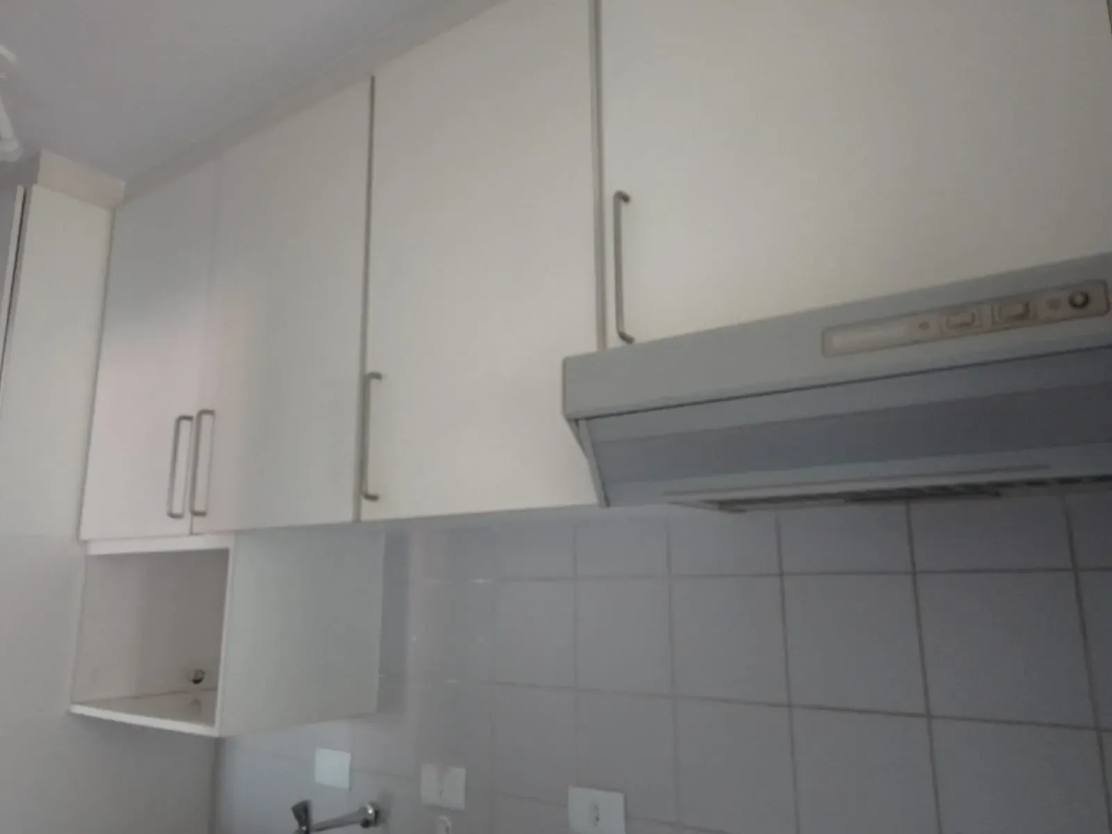 Imagem Apartamento com 2 Quartos à Venda ou Locação, 55 m² em Vila Invernada - São Paulo