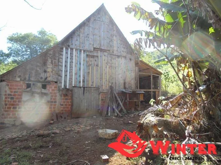 Imagem Bela chácara com 15 hectares no Morro Gaúcho, Vale Real.