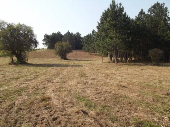 Imagem INVESTIDORES!!! Excelente área de 8 Hectares, frente RS040, Águas Claras