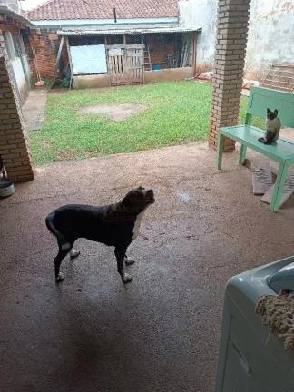 Imagem CASA A VENDA NO BAIRRO MANEL DELARCO EM RIO PRETO