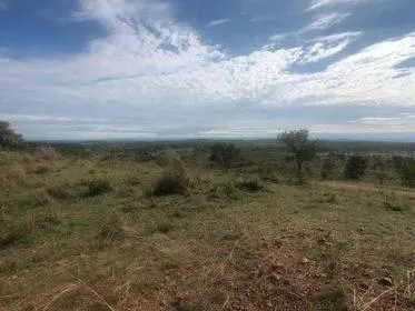 Imagem Excelente Fazenda em Funilândia/MG 112 hectares de terra