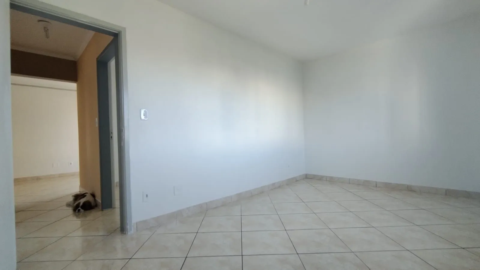 Imagem Apartamento com 3 dormitorios e Box escriturado
