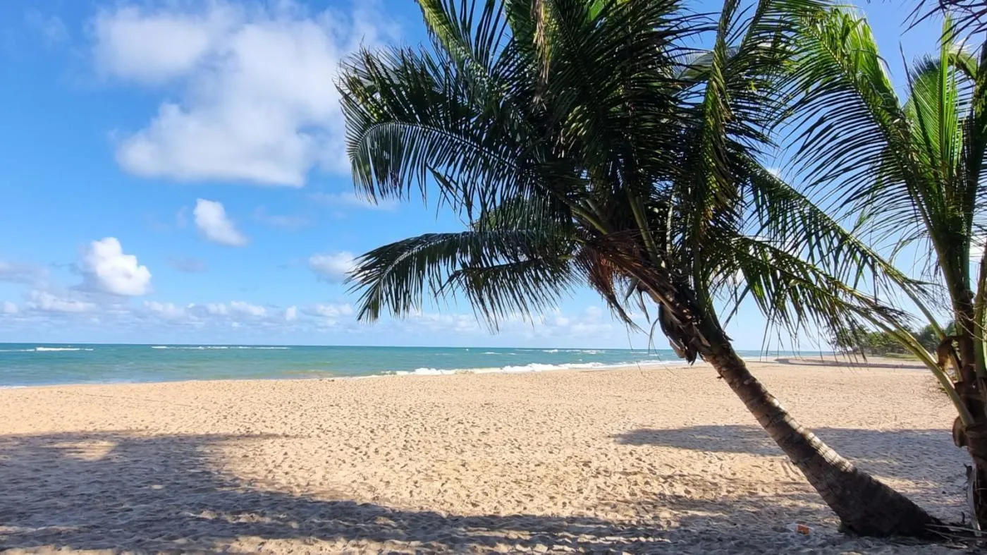 Imagem Terreno para Venda em Maceió, Jacarecica