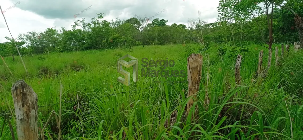 Imagem Fazenda à venda - 700000m² - Floriano-PI