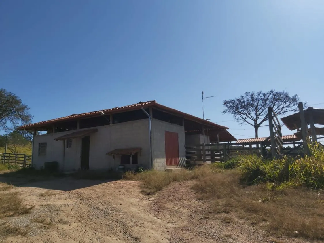 Imagem FAZENDA À VENDA - JECEABA (MG) 25 hectares de terra