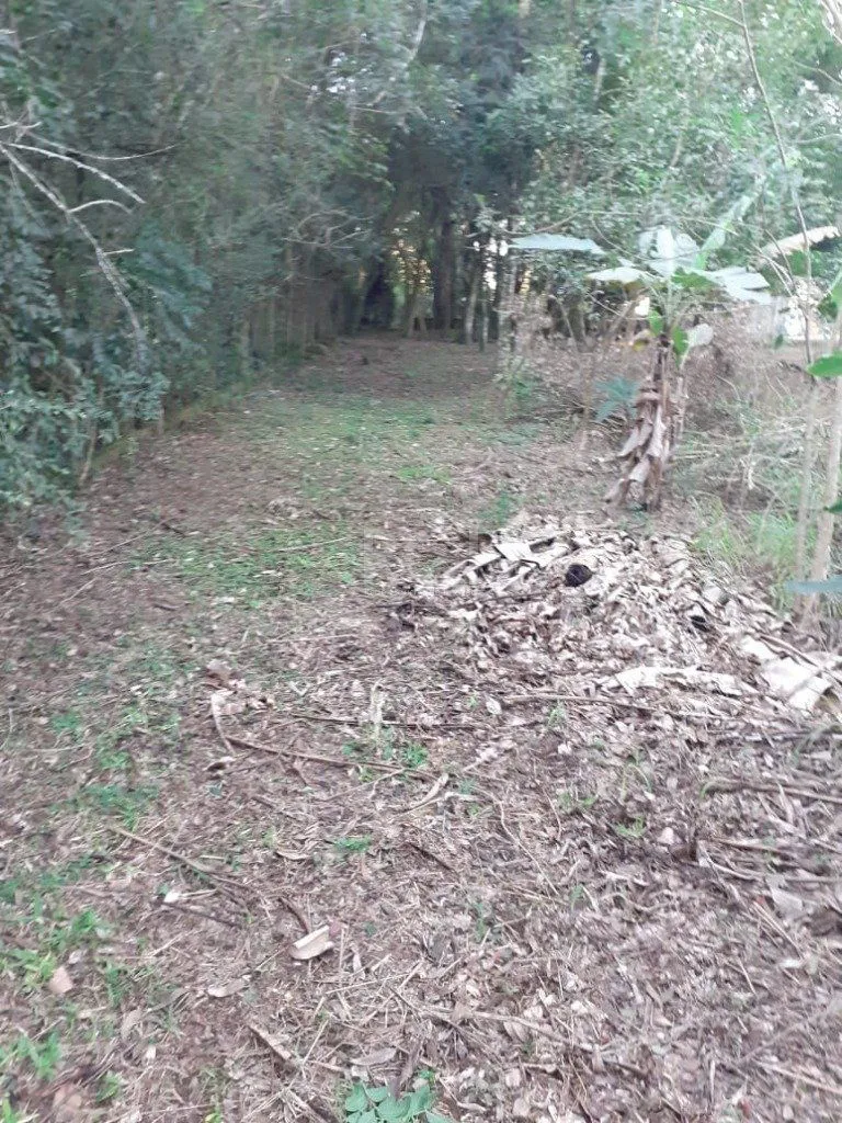 Imagem Terreno para Venda - 0m², 0 dormitórios, Sítio Túnel Verde