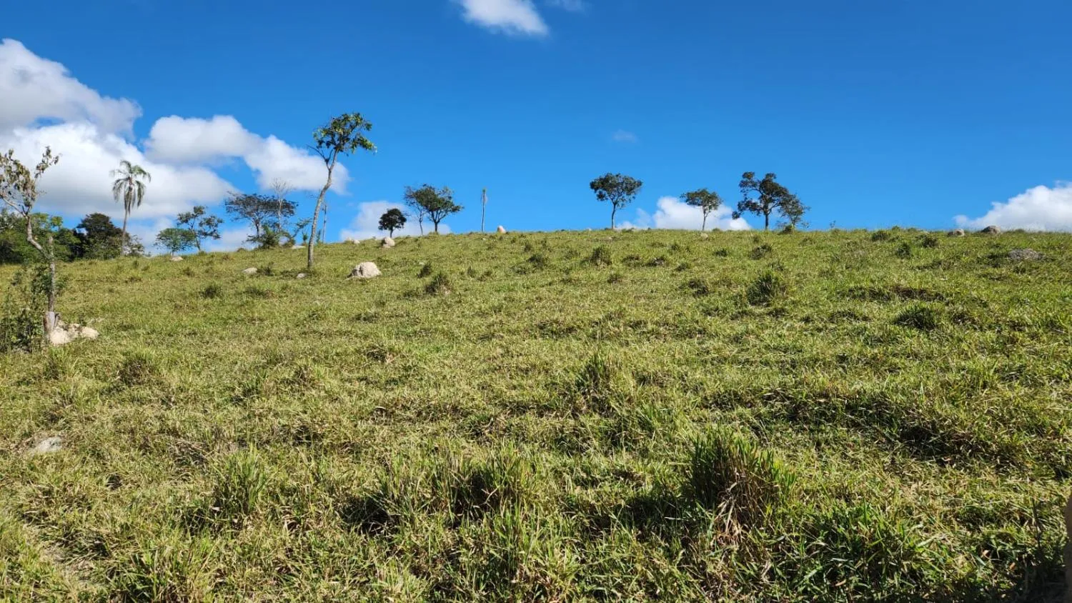 Imagem Vende-se excelente terreno em Bonfim/MG com Área total de 23 hectares, toda formada