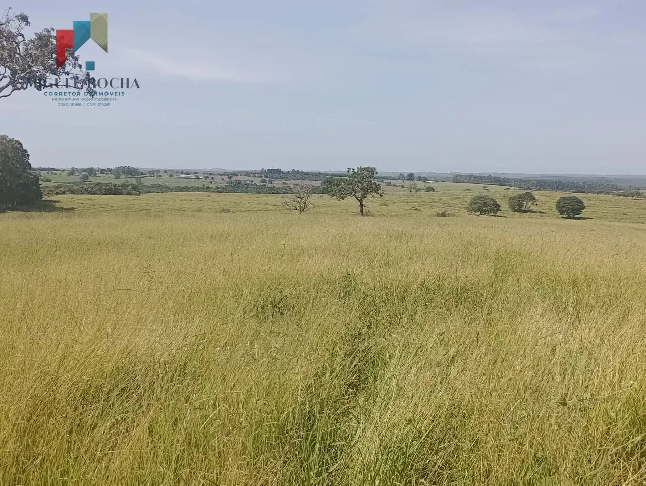 Imagem Fazenda Região Botucatu SP