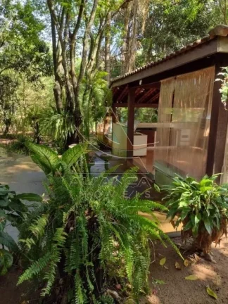 Imagem Sítio - Pedregulho - Zona Rural