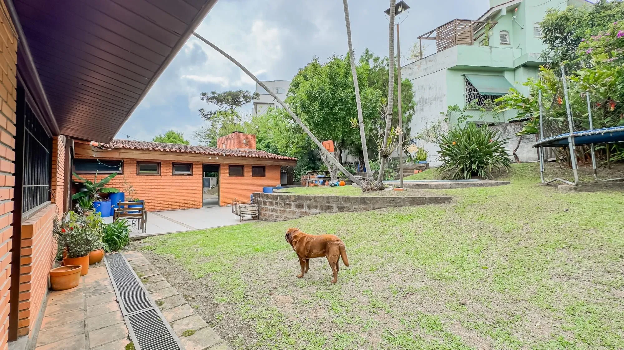Imagem Casa com 3 quartos e 313m² à venda em Chácara das Pedras, Porto Alegre. Rua Joao Paetzel, Chácara Das Pedras, Porto Alegre