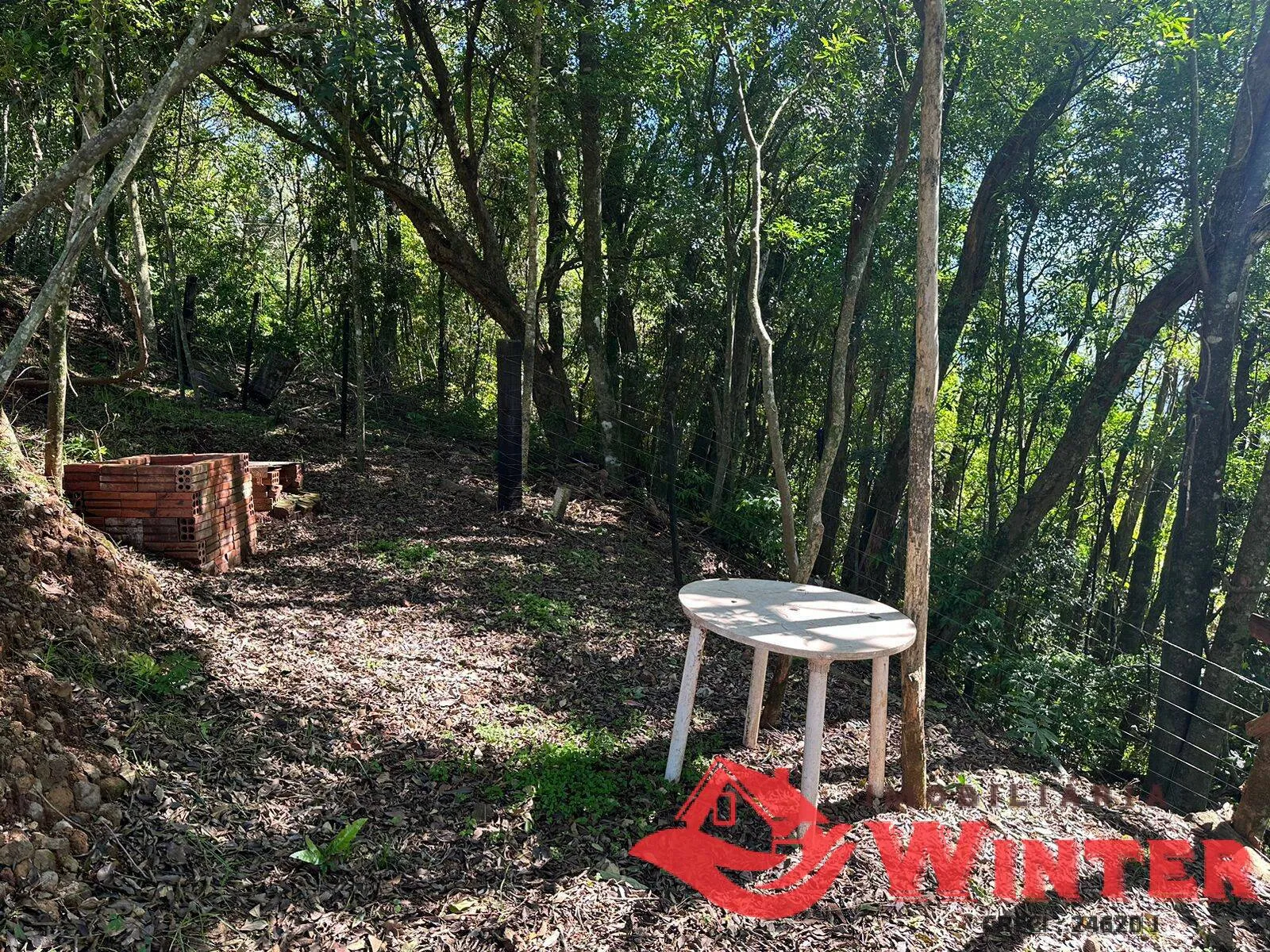 Imagem Area de terras com linda vista pra cidade de Feliz!