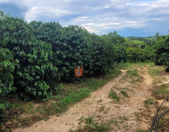 Imagem Sítio Produtivo à venda, 44500 m² por R$ 1.250.000 - Monte Mor - Monte Mor/SP