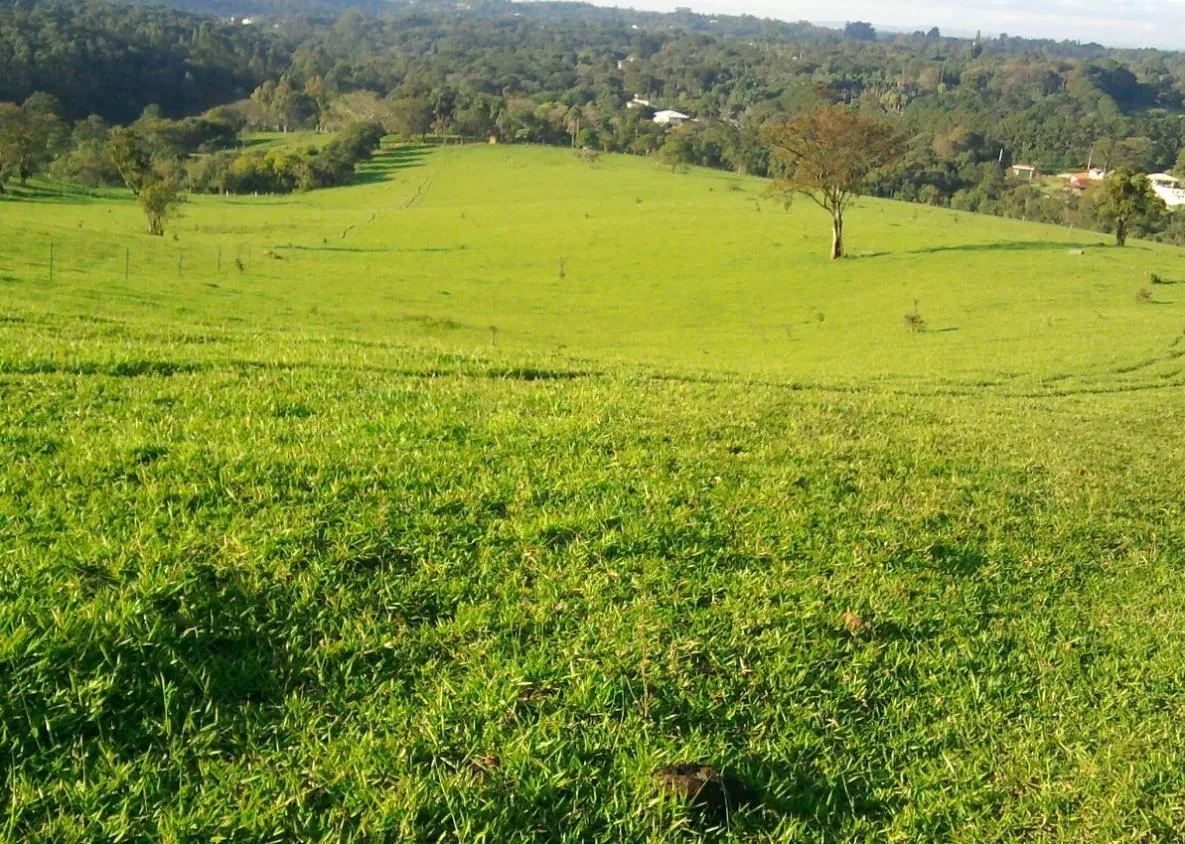 Imagem Lindo Sítio em Itupeva