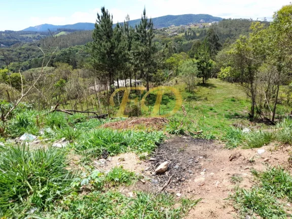 Imagem Galpão para venda em Mairiporã