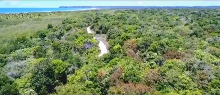 Imagem Fazenda Prazeres Piracanga