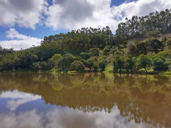 Imagem Sitio com 6 alqueires Tapiraí